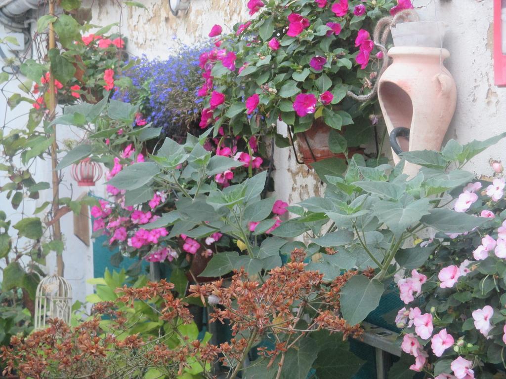 Hotel Le Parisien Saintes Esterno foto